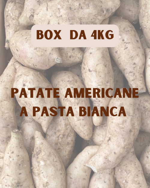 BOX 4KG