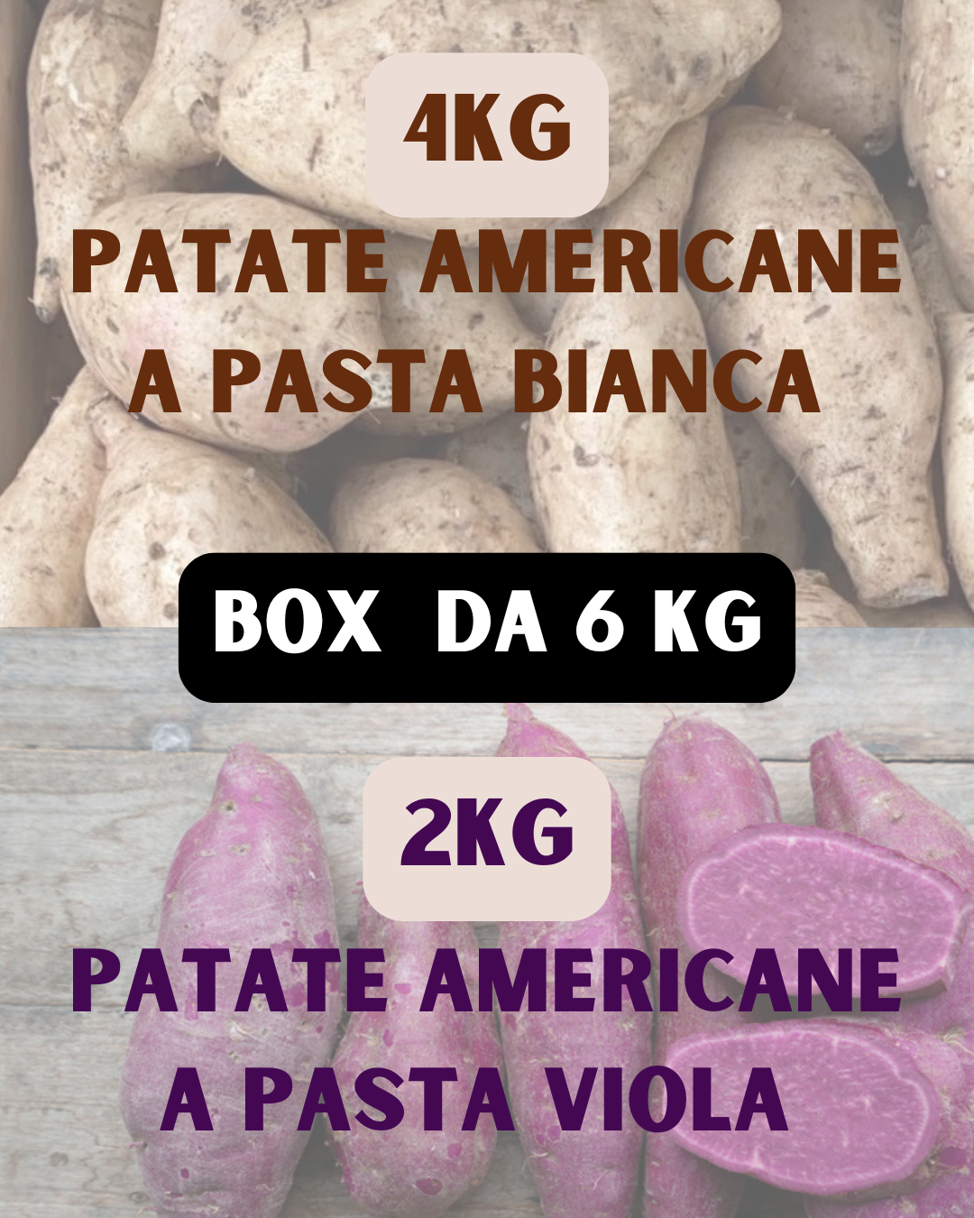 Medium MIX Box PataDolce 4kg Patate Americane a Pasta Bianca + 2kg Patate Americane a Pasta Viola