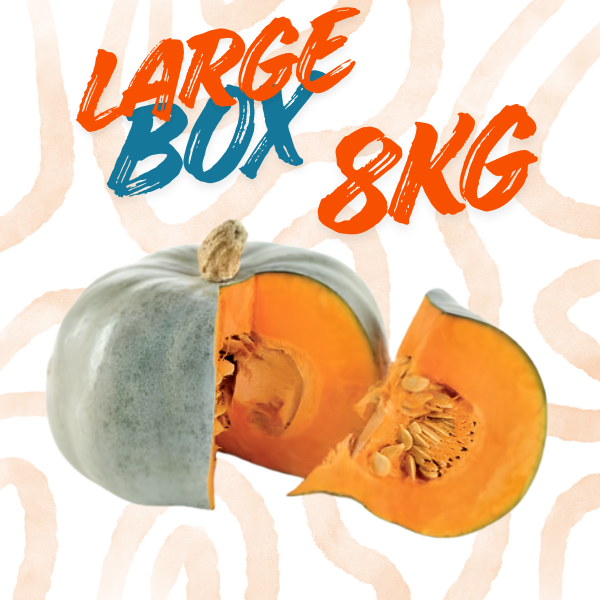 SAFE FOOD Large Box Zucche Vanity
